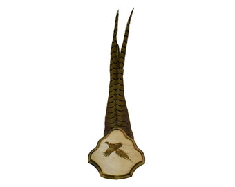May include: A pair of pheasant tail feathers with a wood plaque featuring a pheasant design.