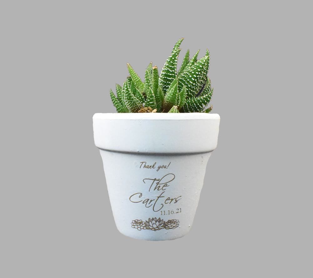 White Clay Pot Favors