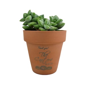 Puede incluir: Una maceta de terracota con una planta suculenta. La maceta está decorada con el texto "¡Gracias! Los Carters 11.16.21".