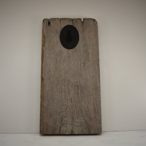 Barnwood Rectangle with Skull Hanger