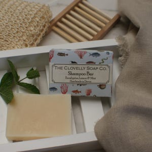 Eucalyptus, Lemon & Mint Natural Vegan Handmade Shampoo Soap Bar - Essential Oil Soap for Dry Hair