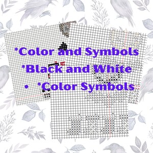 May include: Three cross-stitch pattern charts with text: "Color and Symbols", "Black and White", and "Color Symbols". The charts are black and white grids with colored and black symbols. The background has a watercolor floral and bird design.
