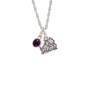 Stone Armory TCU Crystal Necklace | TCU Horned Frogs Jewelry | Stainless Steel Horned Frog Pendant | Perfect TCU Horned Frog Gift