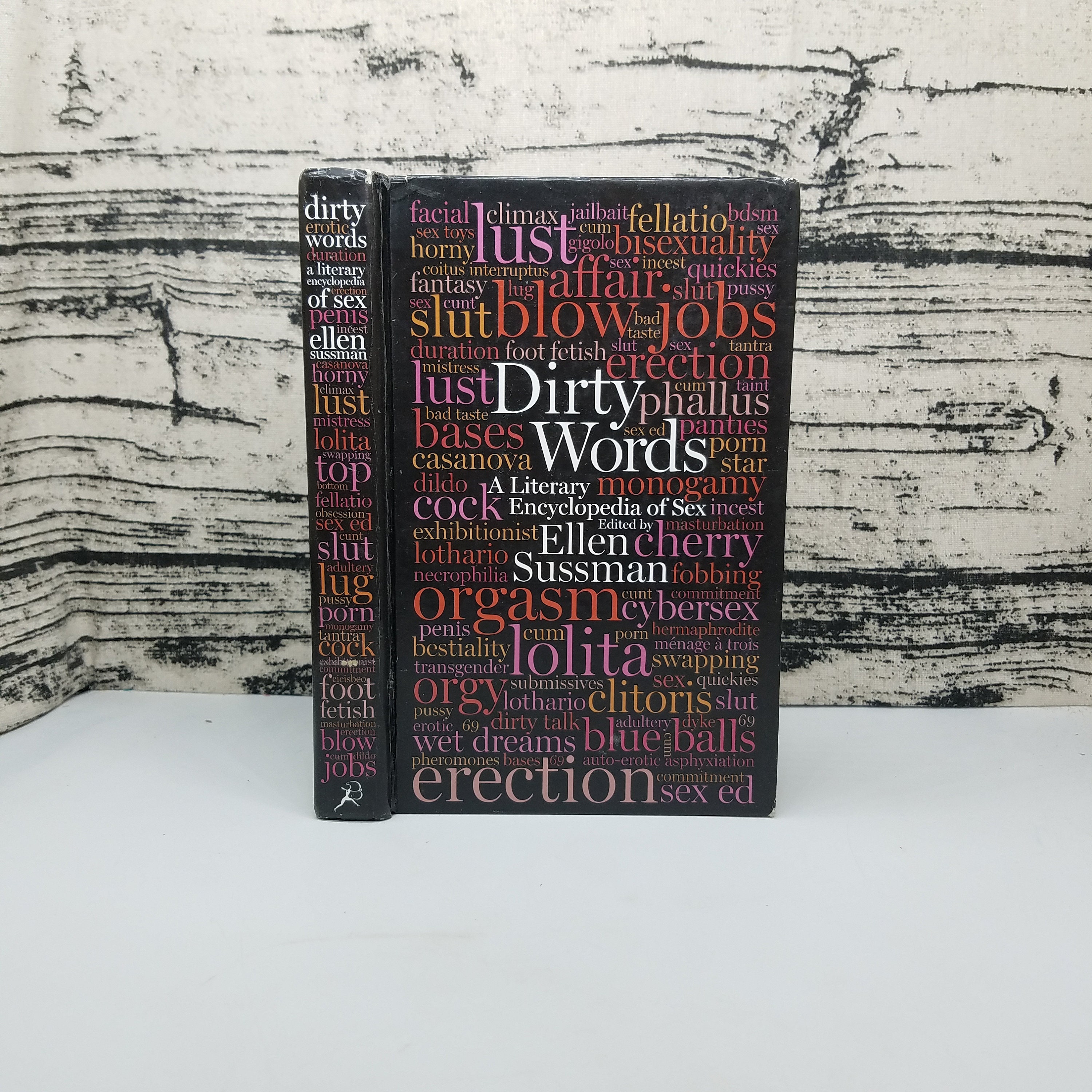Hollow Book Safe Dirty Words Dictionary Ellen Sussman Adult Etsy
