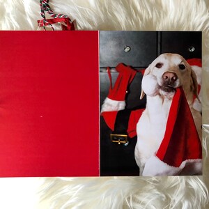 Tarjeta navideña única con un labrador amarillo y un gorro de Papá Noel "Feliz Navidad", tarjeta navideña para perros, tarjeta para amantes de los perros, 5 x 7, en blanco, plegable, tarjeta con foto