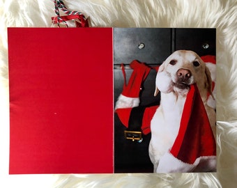 Yellow Labrador Christmas Photo Card, Santa Hat, Dog Lover (5x7)