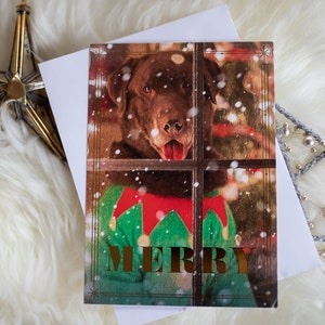 May include: A Christmas card featuring a brown dog wearing a green and red elf costume, peeking through a window with falling snow. The card says "MERRY" in gold lettering.
