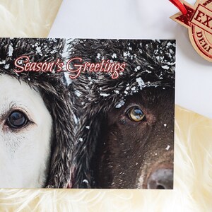 Labrador Retrievers w zimowych czapkach „Seasons Greetings” Urocza, wyjątkowa kartka świąteczna, 5x7, płaska