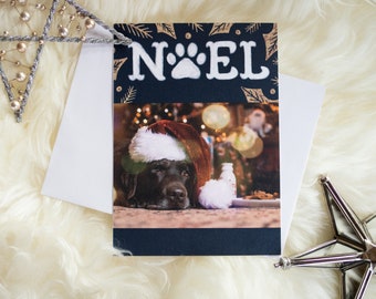 Noël, carte de Noël labrador, carte de Noël chien unique, laboratoire de chocolat « Cher père Noël, combien de temps encore ? », biscuits pour le père Noël, 5 x 7, blancs, plats