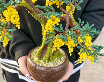 Beaded Artificial golden Mimosa - miniature tree - silver wattle - acacia saligna - cootamundra wattle - Acacia baileyana ready to ship