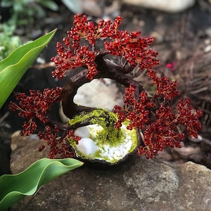 Puede incluir: Una escultura de bonsái en miniatura con un tronco y ramas de color marrón oscuro adornadas con cuentas rojas. El árbol se asienta sobre una base con musgo verde y piedras blancas, colocado sobre un entorno rocoso natural.
