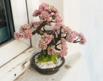 Árbol artificial con cuentas pequeño bonsái, bonsái japonés de primavera, árbol de feng shui, escultura de alambre, árbol en miniatura, sakura de primavera