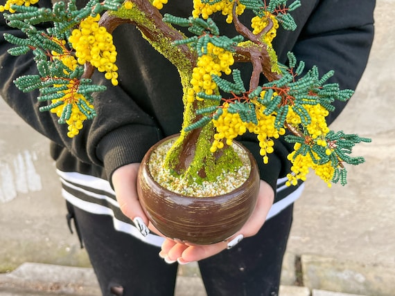 Beaded Artificial Golden Mimosa - Miniature Tree - Silver Wattle - Acacia  Saligna - Cootamundra Wattle - Acacia Baileyana Ready to Ship - Etsy