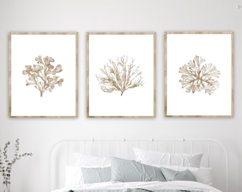 Beige coral seaweed print, sea art prints set of 3, coral print, coral painting, botanical print, coastal decor, beach wall art - F54