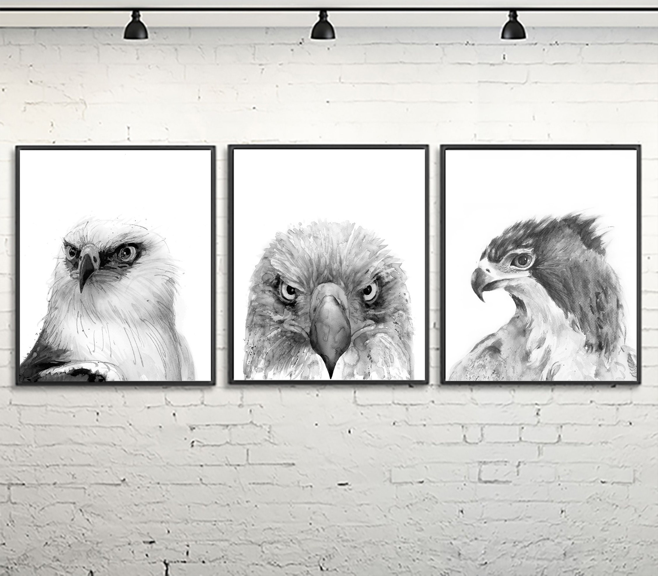 Estampado de águila blanca negra arte de animales salvajes - Etsy México