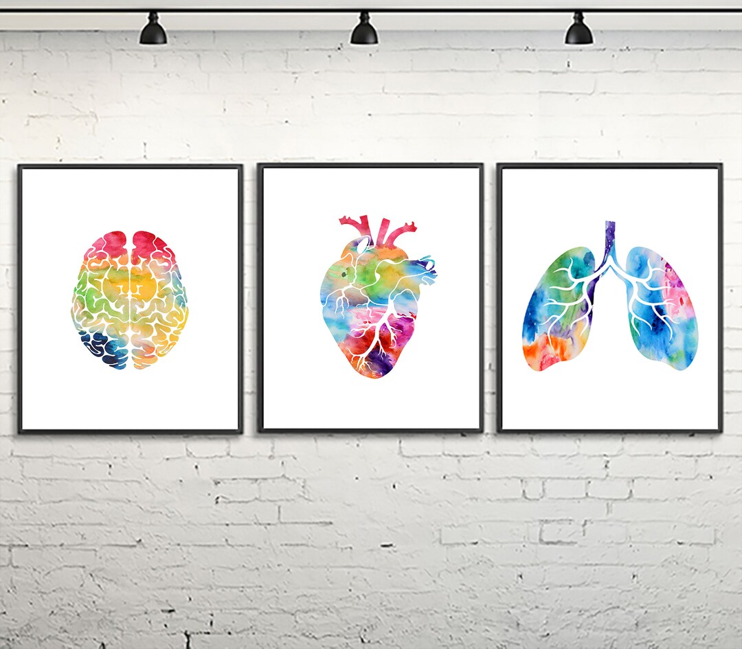 Anatomical Watercolor Print Set: Clinic Decor, Medical Art - A1 - Etsy