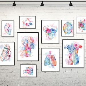 Anatomy watercolor print set, medical art prints, medicine office decor, clinic decor, graduation gift, doctor office decor - S263