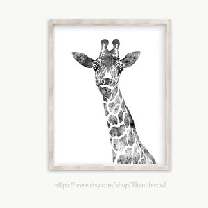 K&ouml;nnte beinhalten: Ein gerahmter Wandkunstdruck mit einer schwarz-wei&szlig;en Aquarellillustration des Kopfes und Halses einer Giraffe. Die Giraffe ist mit detaillierten Flecken und einem langen Hals vor einem schlichten wei&szlig;en Hintergrund in einem hellen Holzrahmen dargestellt.