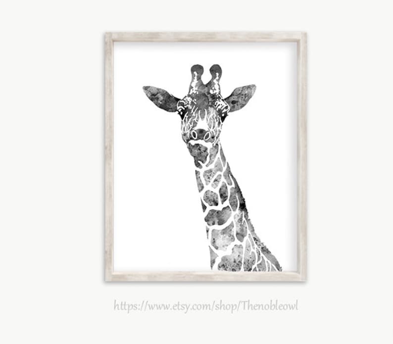 K&ouml;nnte beinhalten: Ein gerahmter Wandkunstdruck mit einer schwarz-wei&szlig;en Aquarellillustration des Kopfes und Halses einer Giraffe. Die Giraffe ist mit detaillierten Flecken und einem langen Hals vor einem schlichten wei&szlig;en Hintergrund in einem hellen Holzrahmen dargestellt.