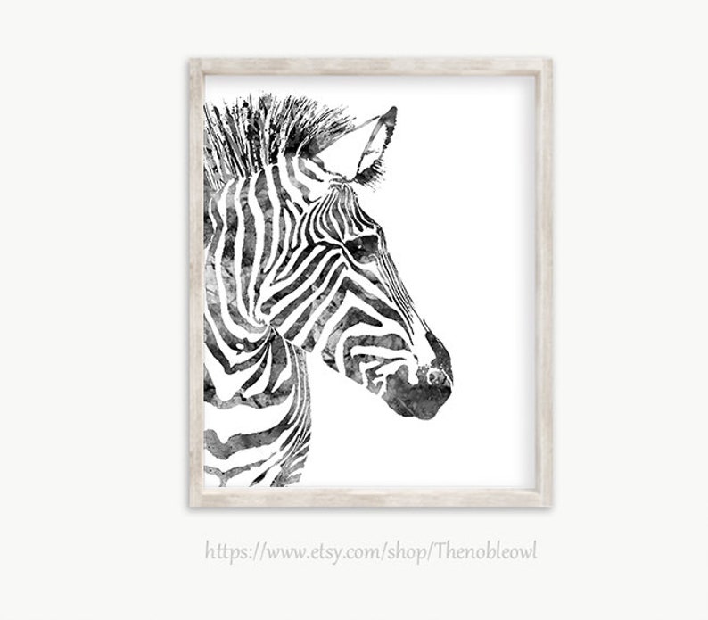 K&ouml;nnte beinhalten: Eine schwarz-wei&szlig;e Illustration im Aquarellstil eines Zebra-Kopfes im Profil, mit detaillierten Streifen und einer texturierten M&auml;hne, eingefasst in einen hellen Holzrahmen. Der Text https://www.etsy.com/shop/Thenobleowl ist sichtbar.