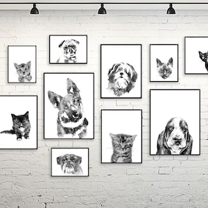 Black white dogs cats art print, pets portrait, dog portraits, dogs cats posters veterinary wall art veterinary clinic decor vet decor -S230