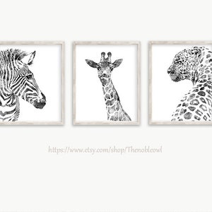 K&ouml;nnte beinhalten: Drei gerahmte Wandbilder mit schwarz-wei&szlig;en Aquarellillustrationen eines Zebras, einer Giraffe und eines Leoparden. Jedes Tier ist im Profil oder von vorne vor einem wei&szlig;en Hintergrund dargestellt. Der Text lautet https://www.etsy.com/shop/Thenobleowl.