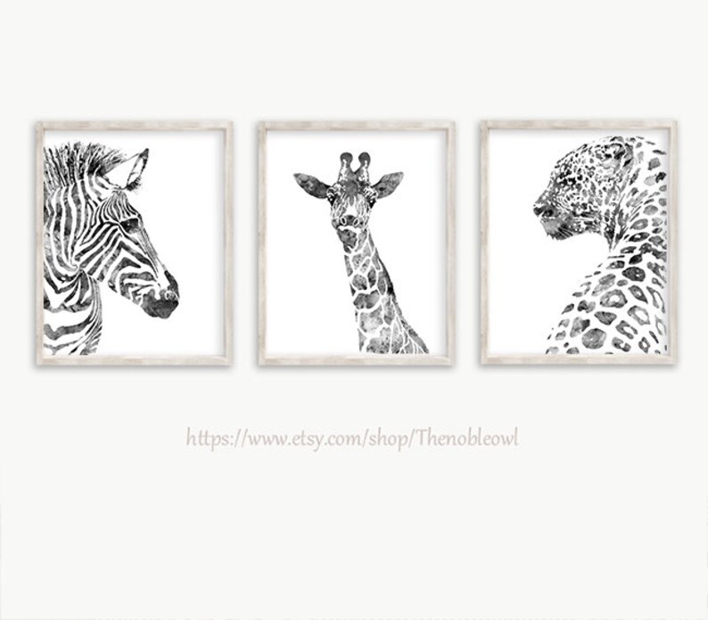 K&ouml;nnte beinhalten: Drei gerahmte Wandbilder mit schwarz-wei&szlig;en Aquarellillustrationen eines Zebras, einer Giraffe und eines Leoparden. Jedes Tier ist im Profil oder von vorne vor einem wei&szlig;en Hintergrund dargestellt. Der Text lautet https://www.etsy.com/shop/Thenobleowl.