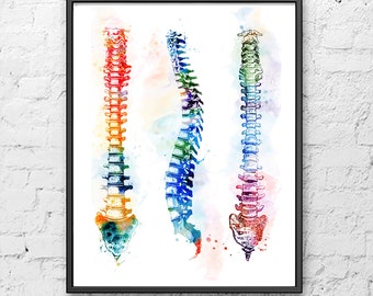 Medical art print, medical poster, anatomy print, neurology human spine print, neurosurgeon anatomy poster, medicine office decor - A18