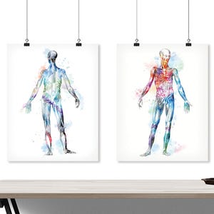 Anatomy Art Print Set: Watercolor Muscular & Skeletal System - A19