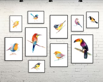 Láminas de aves en acuarela: Arte tropical para guardería, juego de 10