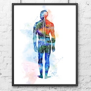 Medical art print, medical wall art, medical poster, anatomy print, watercolor human body print, anatomy poster, medicine office decor - A17
