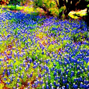 May include: A vibrant, abstract painting of a field of bluebonnet flowers with a large tree in the background. The flowers are painted in shades of blue, purple, and white, and the tree is painted in shades of green, yellow, and orange.
