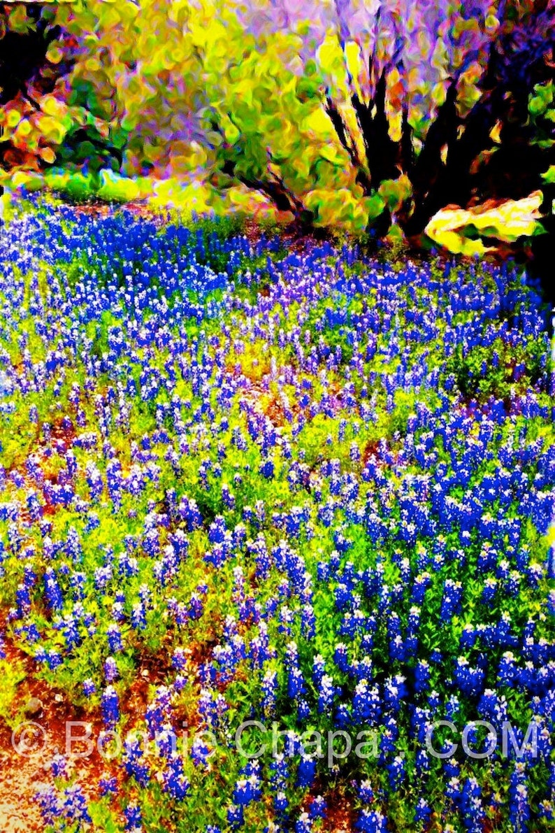 May include: A vibrant, abstract painting of a field of bluebonnet flowers with a large tree in the background. The flowers are painted in shades of blue, purple, and white, and the tree is painted in shades of green, yellow, and orange.