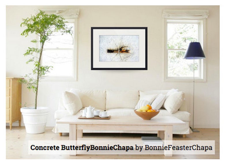 Wall Art Giclee Print Street Art Concrete Butterfly Etsy
