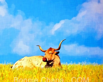 Longhorn Cow Note Card Set, Texas Landscape Art, 5x5 Blank Cards