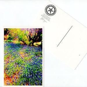 Cartão postal Bluebonnet Texas State Flower Wildflower Cartão Texas Hill Country
