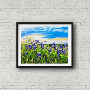 Tonya's Sunset Bluebonnets Texas Hill Country Blue Bonnet Blue State Wildflower Flower Texas Wall Art Giclee Print image 1