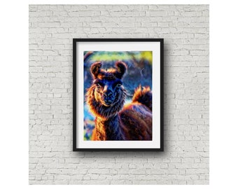 Llama Limited Edition Wall Art Giclee Print