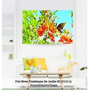 Mexican Bird Of Paradise with Monarch Butterfly Texas Art Wall Art Giclee Print image 3