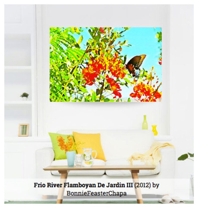 Mexican Bird Of Paradise with Monarch Butterfly Texas Art Wall Art Giclee Print image 3