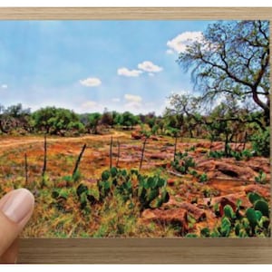 Notitiekaarten blanco set van 8 onverharde weg Texas Hill Country landschapskunst bedankkaart wenskaart briefpapier