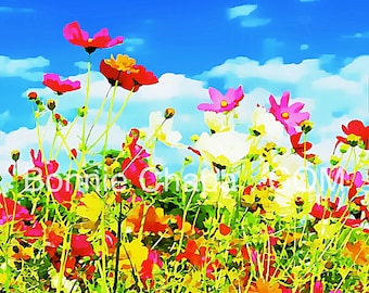 Giclee Print Poppies At The Mail Box Flowers Poppy Wildflower Texas Limited Edition Wall Art