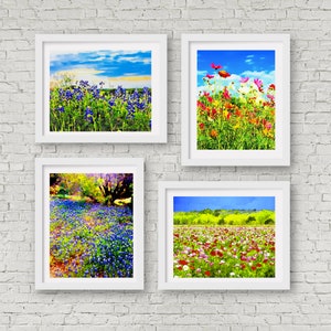May include: Four white picture frames with different images of wildflowers. The top left frame shows a field of blue wildflowers. The top right frame shows a field of pink, red, and yellow wildflowers. The bottom left frame shows a field of blue wildflowers with a tree in the background. The bottom right frame shows a field of pink and red wildflowers with a green forest in the background.
