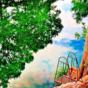 Frio River Texas Hill Country Zinken of zwemmen Soar Leakey Texas Art gicleeprint