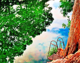 Frio River Texas Hill Country Sink Or Swim Soar Leakey Texas Art Giclee Print