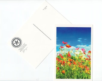 Poppy Postcard Texas Flower Wildflower Texas Hill Country Card
