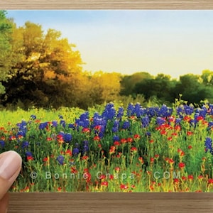 Lot de 8 cartes de correspondance vierges Luling Texas Bluebonnets Paysage fleurs Texas Hill Country Carte de remerciement Carte de voeux Papeterie