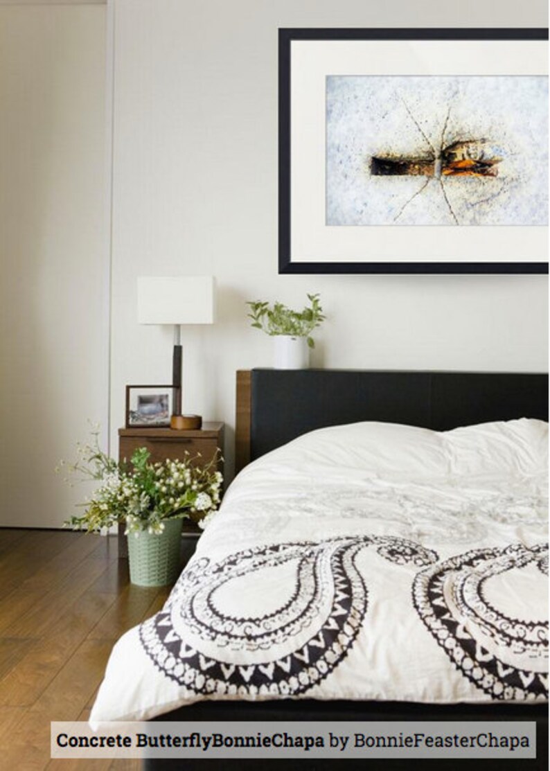 Wall Art Giclee Print Street Art Concrete Butterfly Etsy