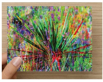 Agave Yucca Art Note Cards: Texas Hill Country Landscape, Set of 8