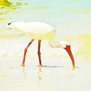 Giclee Print Bird On The Beach Florida Texas Coastal Limited Edition Wall Art image 1
